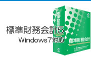 標準財務会計